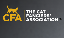 CFA