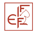 FIFe