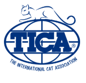 TICA